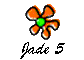 Jade 5